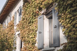 Façade d’une maison rénovée recouverte de lierre avec volets roulants solaires LAKAL et anciens volets battants