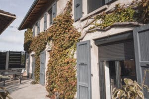 Maison rénovée avec volet roulants solaire et facade recouverte de lierre