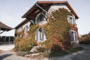 Ancienne maison équipée de volet roulants solaires LAKAL et la facade recouverte de lierre